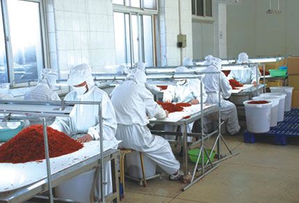 河北华田食品有限公司