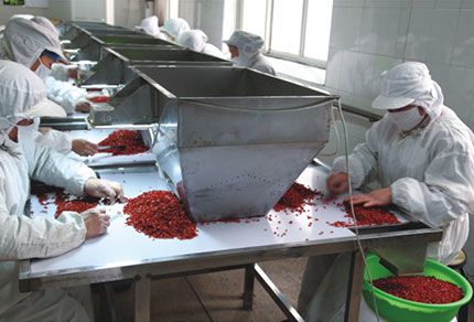 河北华田食品有限公司