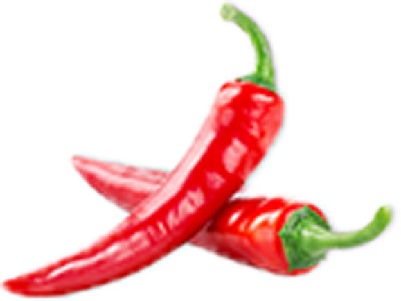 公司已获得由中国质量认证中心颁发的ISO9001：2008认证和HACCP证书